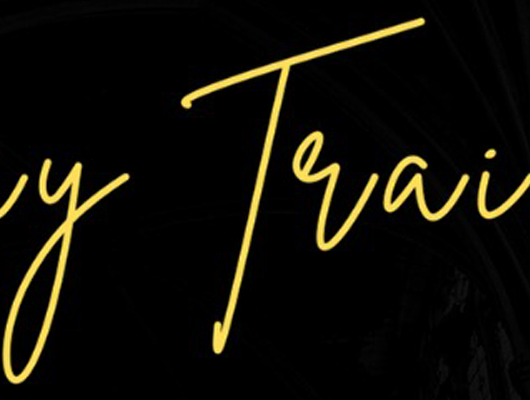 Transforme sua Liderança – Day Trainer